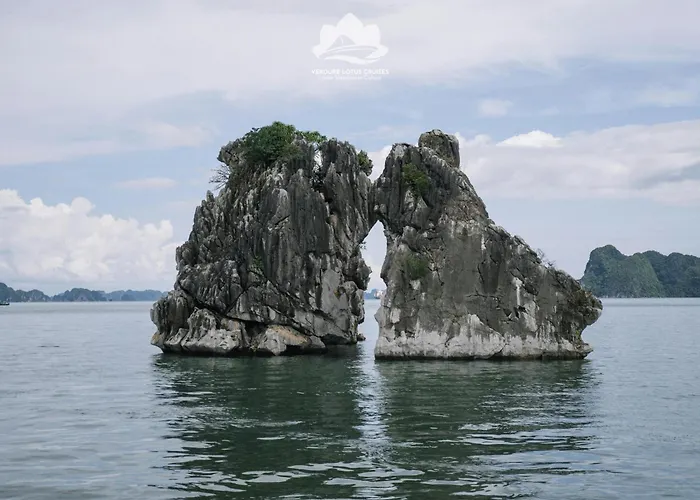 Verdure Lotus Grandeur Cruise On Bay